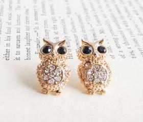 GOLD Crystals Owl stud earrings
